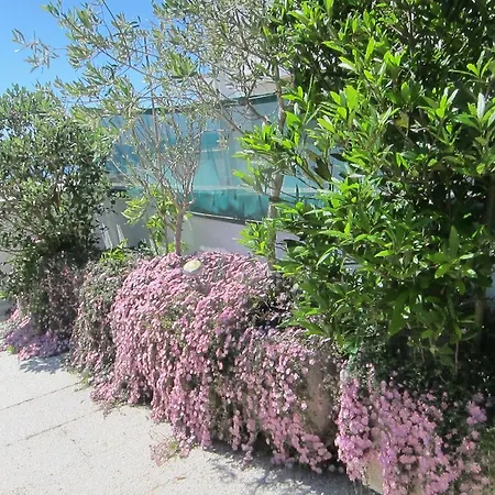 Apartamento Solario Βιάνα ντο Καστέλο